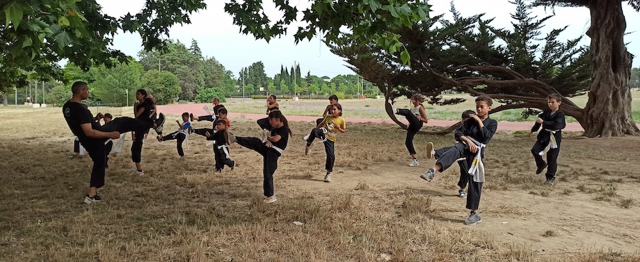 Une vingtaine d'enfants en train de donner un coup de pied, face à l'enseignant, en extérieur dans un parc arboré